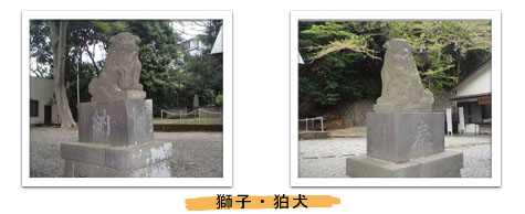 ���q�A����